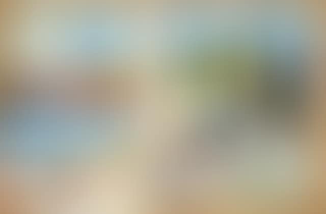 View through a window (preview)