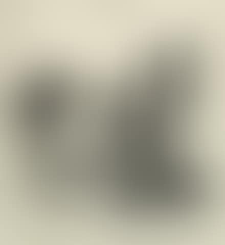 Caricature de Photographie (preview)