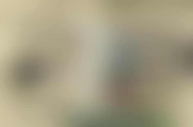 Oiseau (preview)