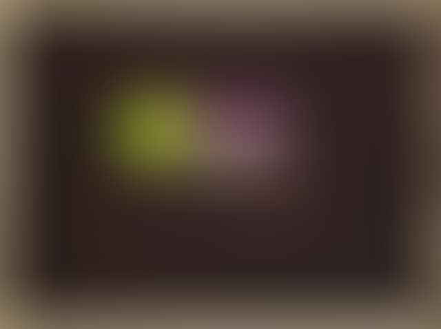 Interior (Day) (preview)