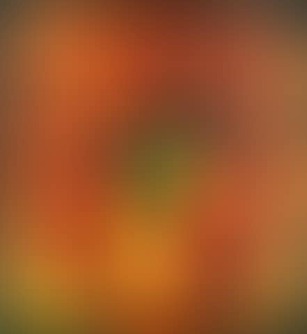 Still Life (preview)