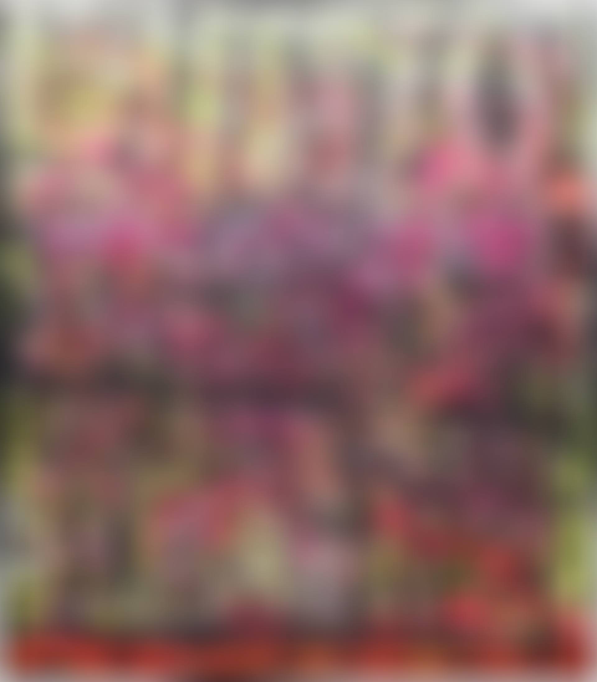 SP04 (preview)