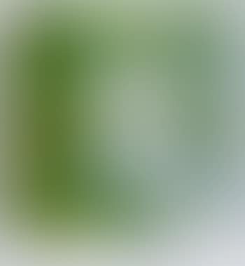 Cage 1.Detail (preview)