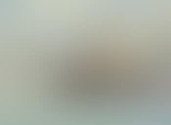 A Picture of The Blessed Lion Who Stare at Death (preview)