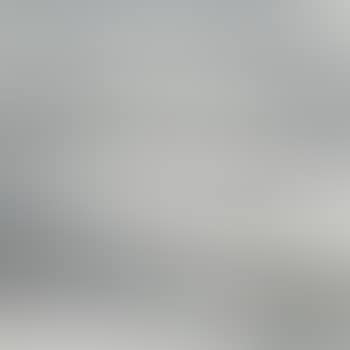 Two Geese Flying (preview)