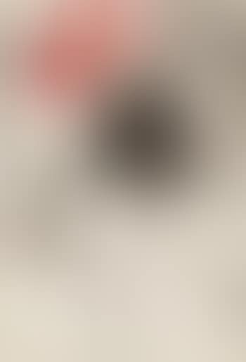 Lotus (preview)