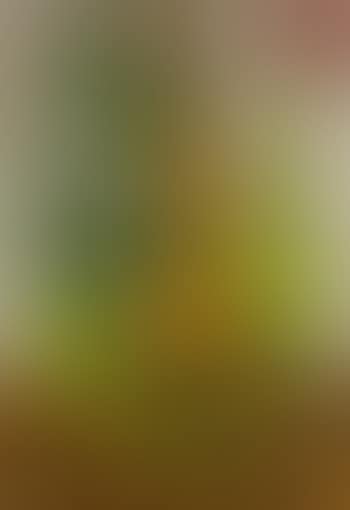 Nature morte au philodendron (preview)