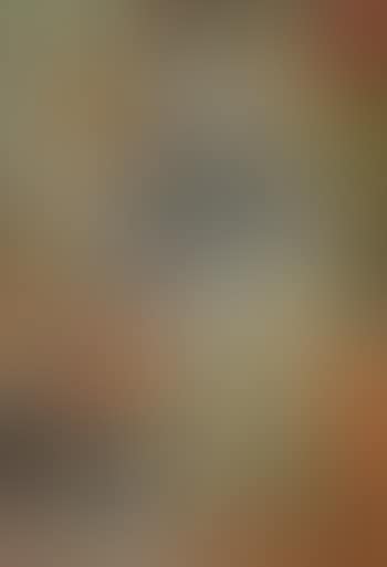 Dame au chapeau vert (preview)
