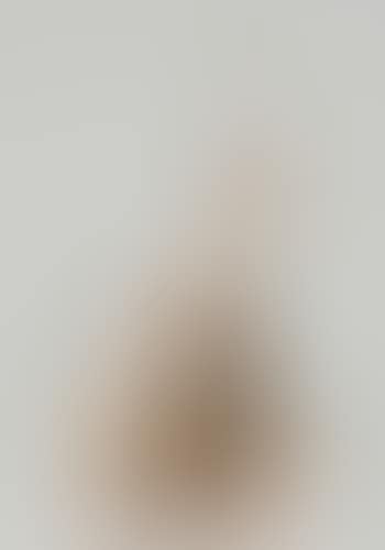 Untitled (Sliced cast violin and bow incorporated on rectangular base) (preview)