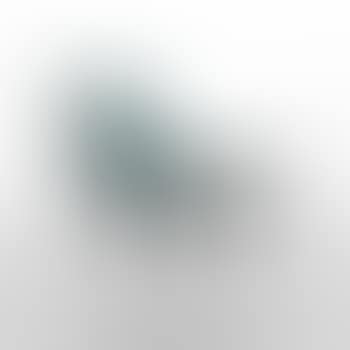 Slipper chair ,
Slipper chair , (preview)