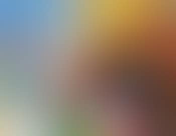 Nature morte au bouquet (preview)