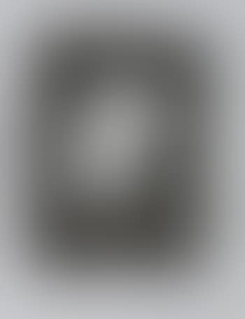 Untitled, from "Schlafende Hunde" (preview)