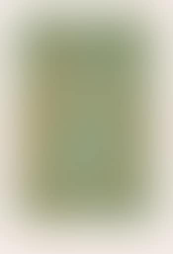 Oiseau vert (preview)