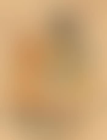 Heute Frische Wurst (preview)