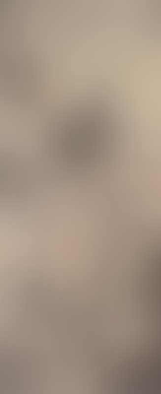 Landscape (preview)