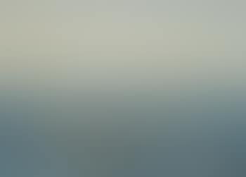 Eider on the sea (preview)