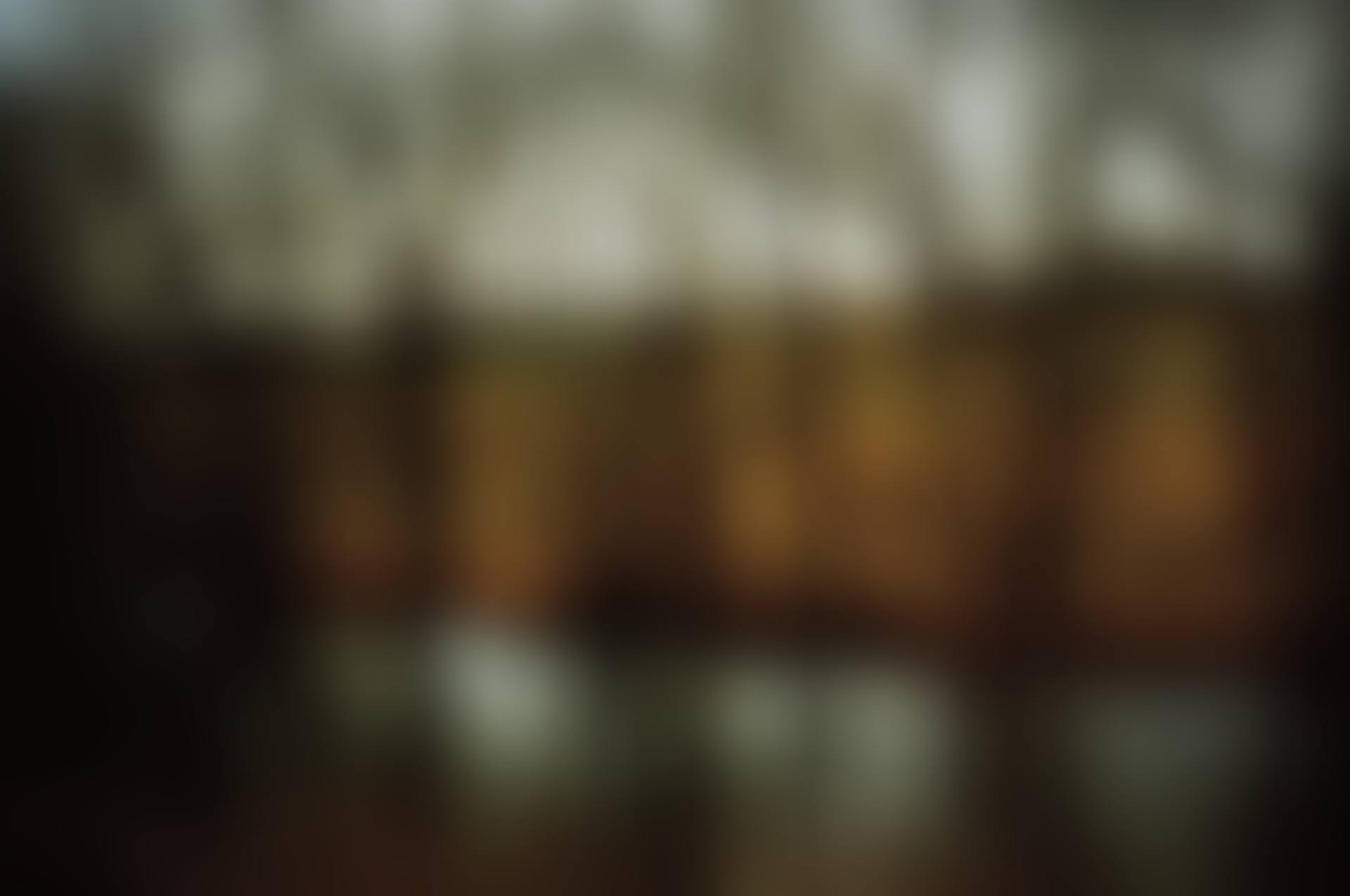 Trees by the River, Munich (preview)