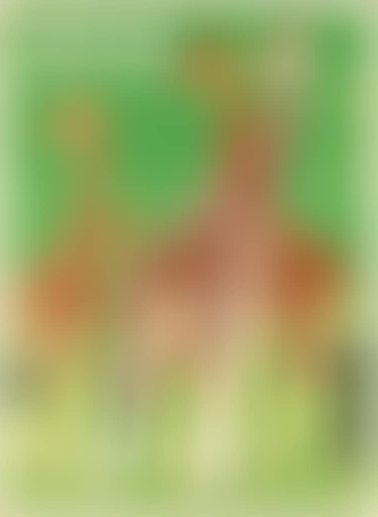 Zoos / Giraffes (preview)