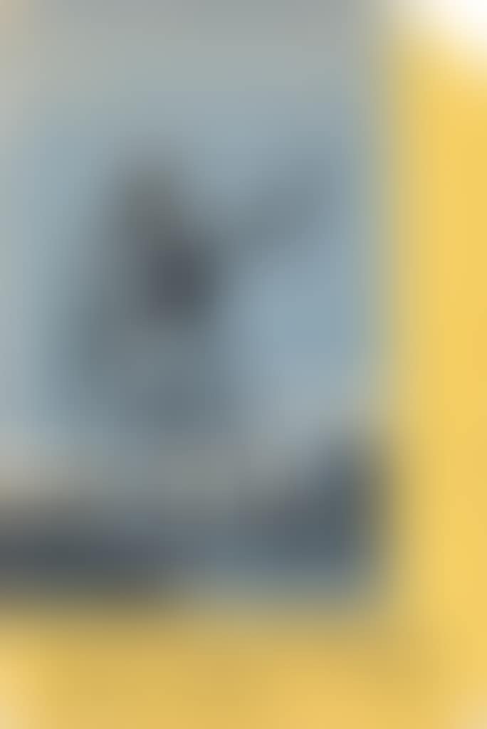 The Mountains Wait (preview)
