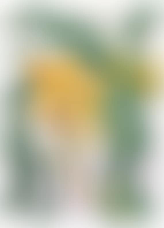 Orchideenzweig (preview)