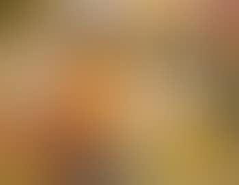 Composition (preview)