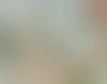 Paysage (preview)