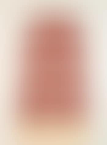 The souper dress , (preview)