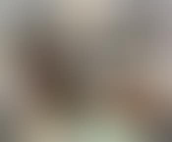Untitled , (preview)