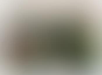 Panorama de Montsouris , (preview)