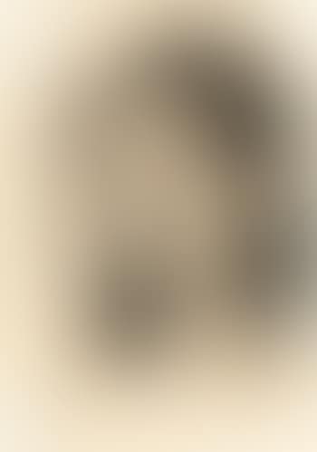 Tête d'une jeune femme Tahitienne avec un deuxième portrait sur sa droite - Portrait de Teha'amana ,
1891
-
1892 (preview)
