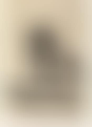 Untitled ,
1966 (preview)