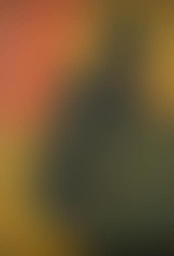 Composition Abstraite ,
1951 (preview)