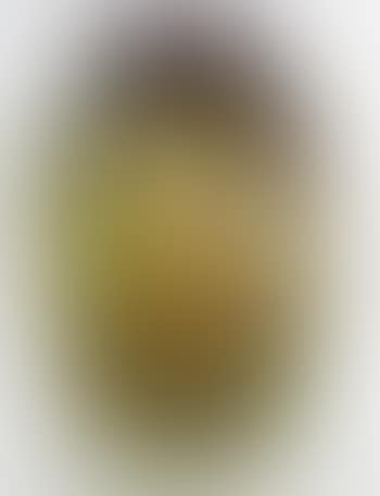 Clematis ,
Circa
1925 (preview)