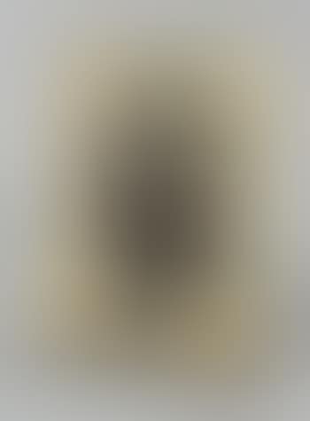 Petrification ,
1969
-
1970 (preview)