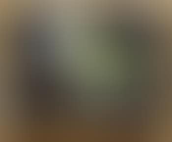 The yellow shawl II , (preview)