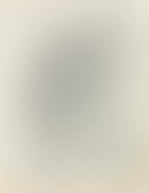Untitled ,
1969 (preview)