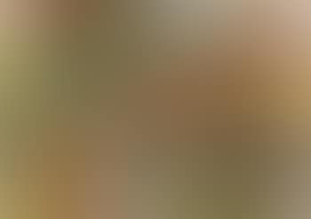 Untitled ,
2014 (preview)