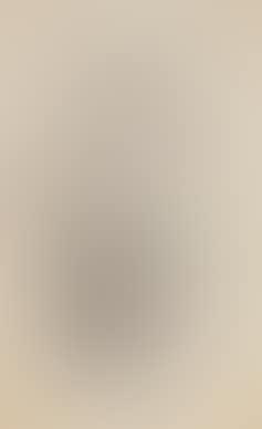 Untitled ,
2014 (preview)