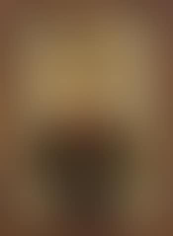 Study of a boy , (preview)