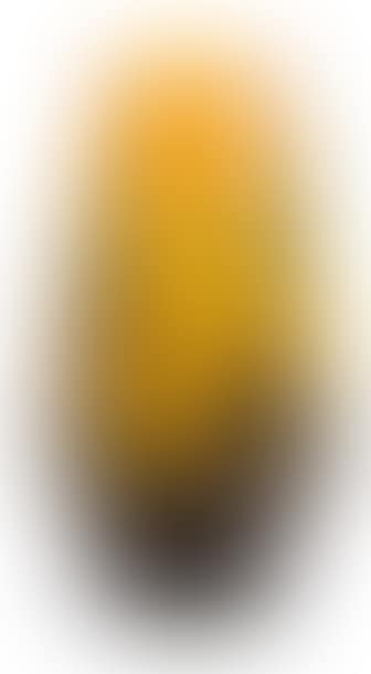 Capucines Vase , (preview)