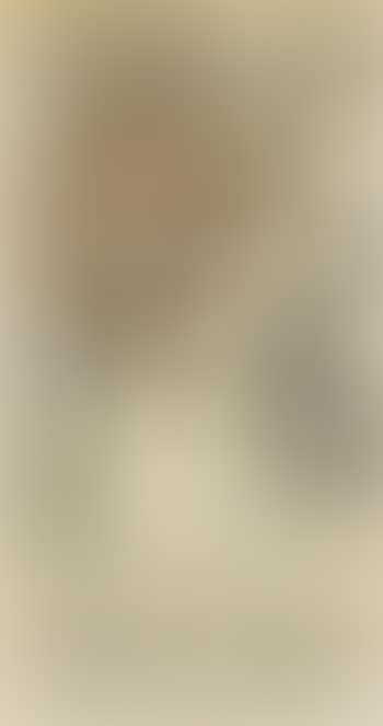 Brengt Zon , (preview)