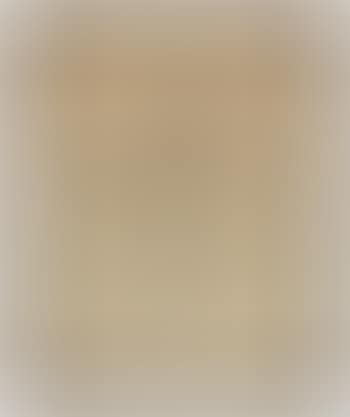 Female Nudes ,
1923 (preview)