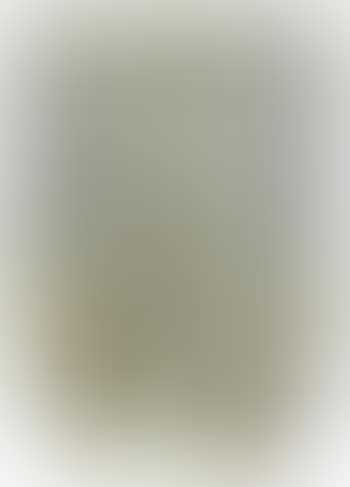 Fragmentation ,
2002 (preview)