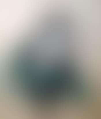 Portrait of a lady ,
1972 (preview)