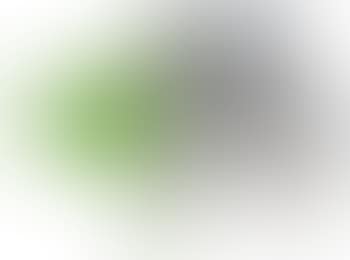 Cloned green Hypo ,
2012 (preview)