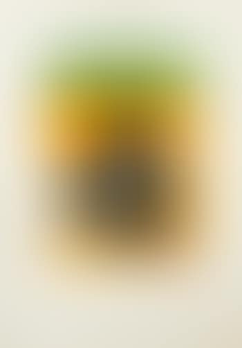 Untitled ,
1971 (preview)