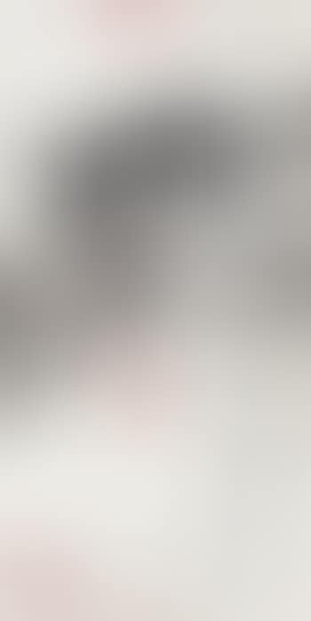 The cat , (preview)