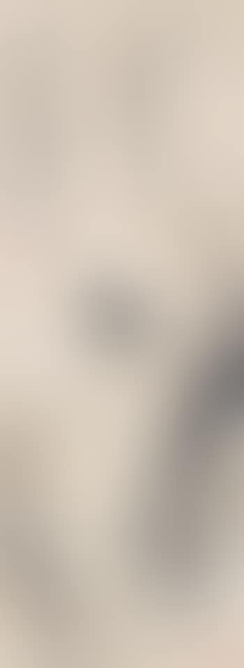 A bird , (preview)