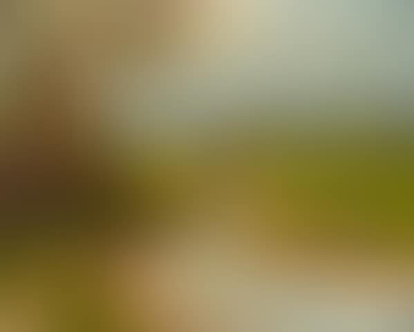 A pastoral scene with geese (preview)