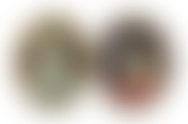 Portrait d'une jeune femme de face portant une robe avec une étole et une plume, avec une perruque blanche et rubans. Portrait d'une jeune femme de profil à robe rouge, les cheveux en chignon (preview)
